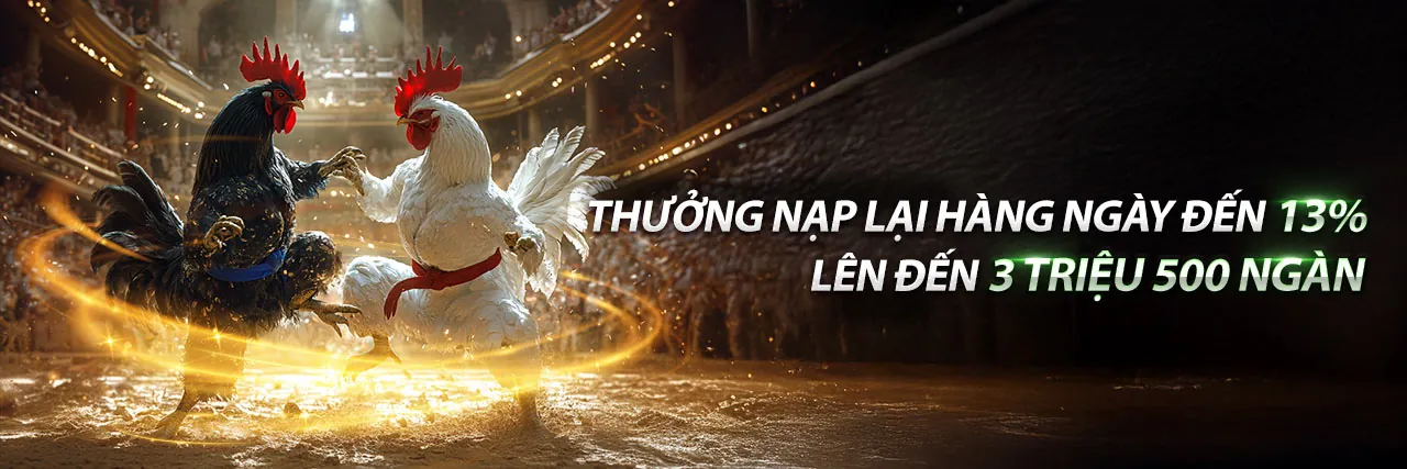 Tải ứng dụng đá gà trực tiếp c2 để trải nghiệm mượt mà