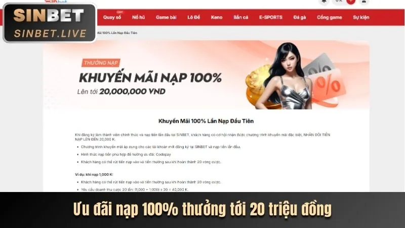 Tham gia nhận thưởng và ưu đãi độc quyền từ nền tảng